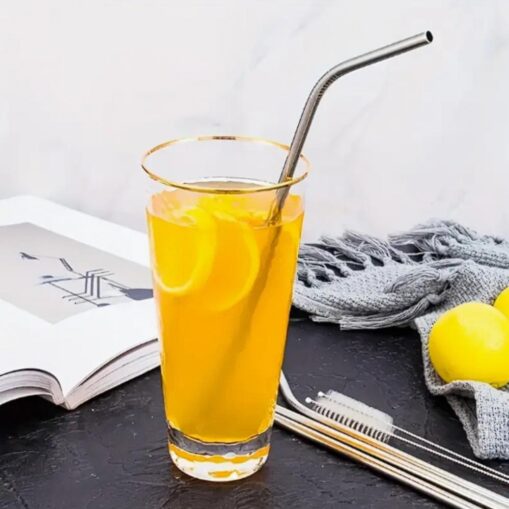 Pack x2 sorbetes de acero con cepillo