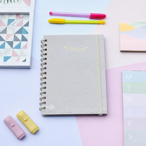 Cuadernos A5 | Tapa dura | Beige