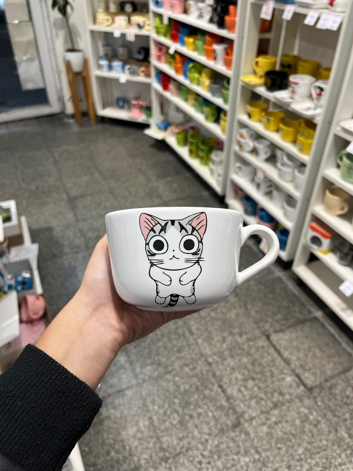 Tazón Gatito