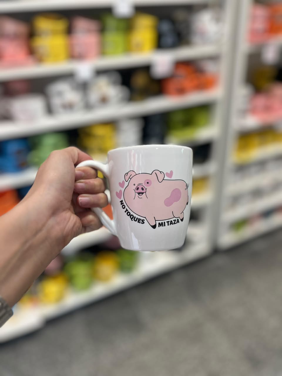 Taza Chanchito